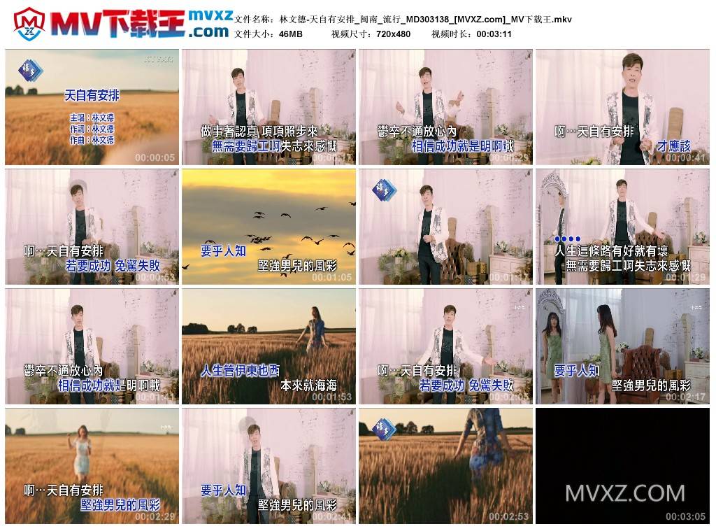 林文德-天自有安排_闽南_流行_MD303138